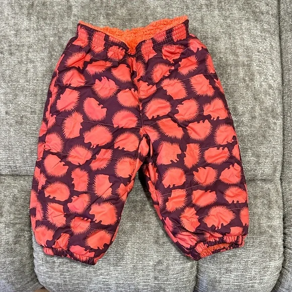 Patagonia Reversible Hedgehog 2 Piece Snowsuit Kids' Coat and Pants Set